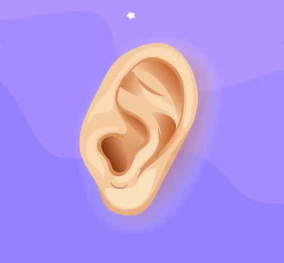 موشن آموزشی ناشنوایان