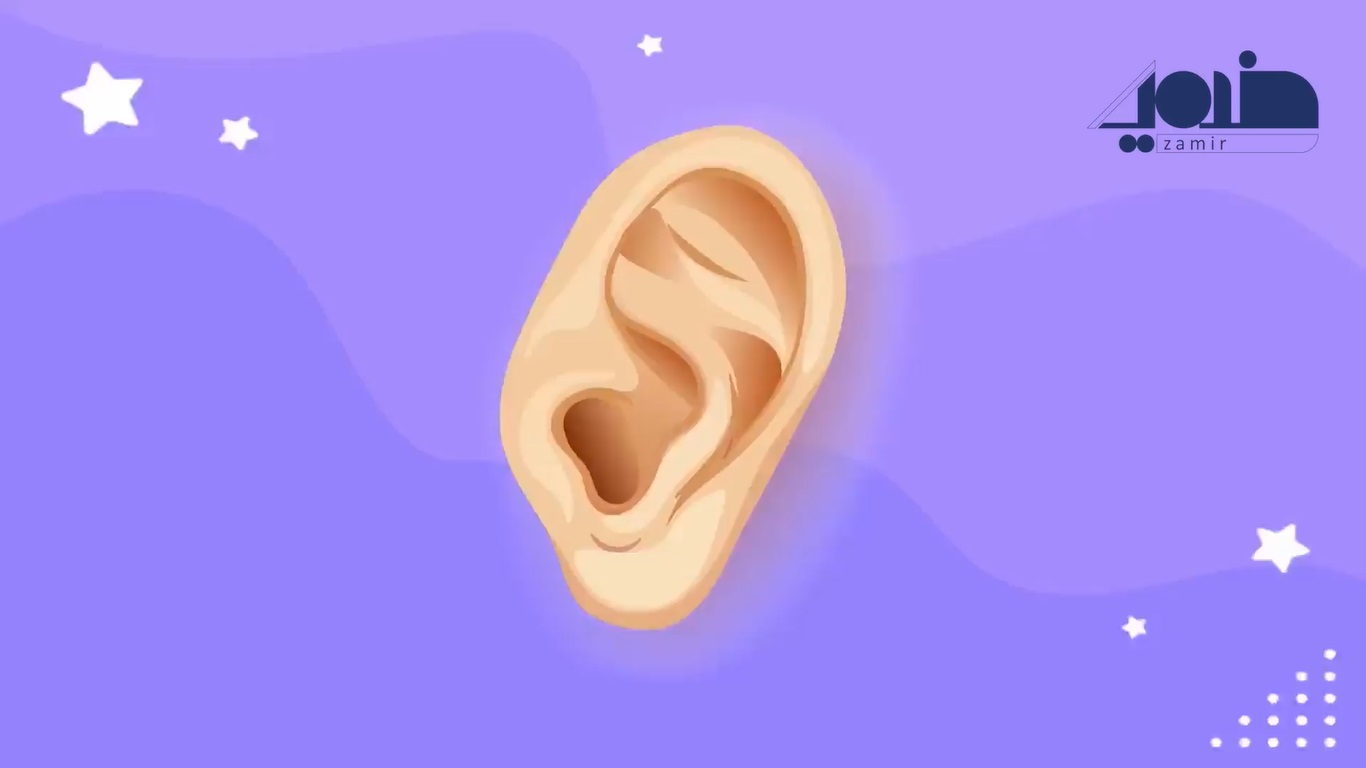 موشن آموزشی ناشنوایان