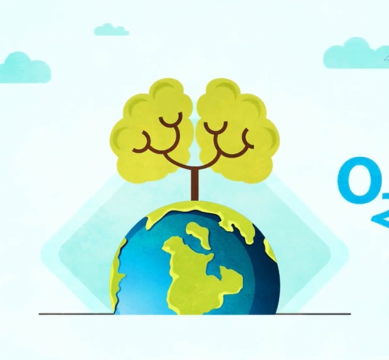 اطلاع رسانی حذف درختان