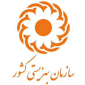 سازمان بهزیستی کشور
